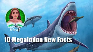 What Happened to the Megalodon? 10 Amazing Facts about Megalodon!🦈 #prehistoricanimals #seamonster