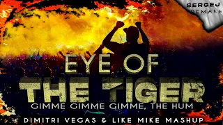 DVLM & Ummet Ozcan vs Survivor vs ABBA - Eye of The Hum vs Gimme! Gimme! Gimme! (DVLM Mashup)