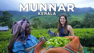 Munnar, Suryanelli Kerala in the Monsoon! The best vlog I've ever made | #WeekendTrips India