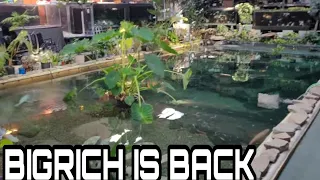 Bigrich comes back to the rescue after we got sick, tracy is still in the hospital