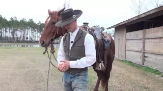 How To Use Spurs Properly