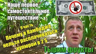 Самостоятельно Камбоджа 🌴 9 часть 🍌 Фруктовые плантации и мелкие полезности 🍍