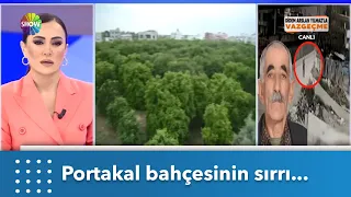 Portakal bahçesinde ne oldu? | Didem Arslan Yılmaz'la Vazgeçme