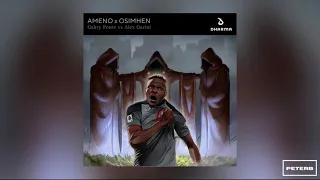 Osimhen x Ameno - Alex Garini vs. Gabry Ponte [PeterB] Mashup