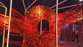 Philadelphia flower show 2019 (Выставка цветов. США. Филадельфия) Часть/3