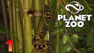 Welcome To Rainy Glen Zoo! Planet Zoo Ep1