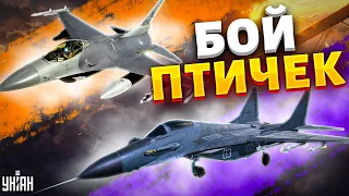 F-16 против МиГ-29. Чем американские птички круче советских - Жданов