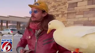 Man banned from all Buc-ee's location after bringing duck into Tennessee store