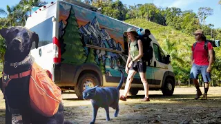 OUR WORST FEARS IN BRAZILS JUNGLE - Van Life with Pets