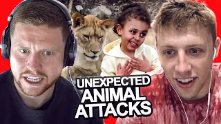 SIDEMEN REACT TO UNEXPECTED ANIMAL ATTACKS