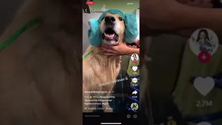 12/2 SEL Tik Tok Video