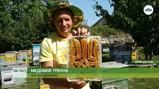 На часі - Запорізький бджоляр створив медовий тризуб із сот. - 07.09.2023