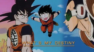What's my destiny Dragon Ball - Remastered (4K)