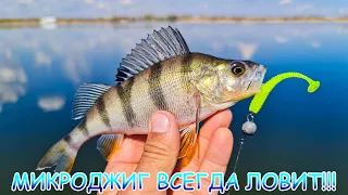 Микроджиг всегда ловит!!! Судак, окунь, берш на одну приманку!!!