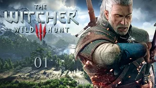 The Witcher 3: Wild Hunt - Прохождение pt1 (Все боссы и квесты отмечены В ПЛЕЙЛИСТЕ)