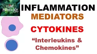 INFLAMMATION Part 6: Chemical Mediators:  CYTOKINES: Interleukins & Chemokines