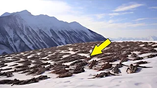 Drone Makes A Chilling Discovery In mountain, No One Is Supposed To See This