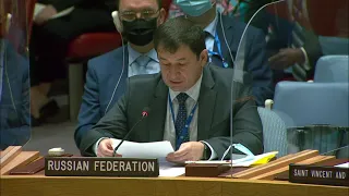 Выступление Д.А.Полянского на заседании СБ ООН по Гаити