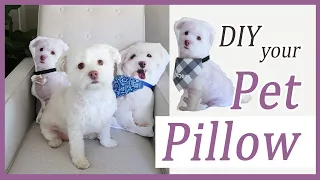 Make your own PET PILLOW DIY  / PHOTO PILLOW using CANVA /  #pet