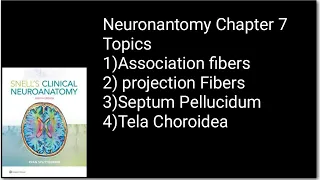 White Matter Of Cerebrum part 2|Association fibers|Projection Fiber|Septum Pellucidum|Tela Choroidea