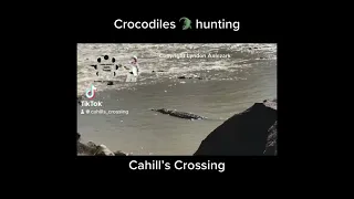 Cahill’s Crossing Compilation