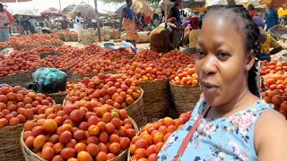 Taking you to the biggest tomato market in Abuja