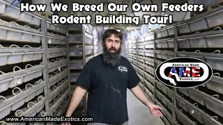How We Breed Our Own Feeders, Rodent Building Tour!! AME v35b