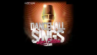 Dancehall Sings Riddim Mix - Rubb a Dube Sound