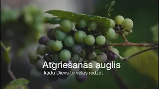 280. Kas ir cilvēks? - Atgriešanās auglis