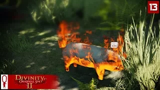 FLAMING PIGS - Divinity Original Sin 2 Gameplay Part 13 - [Coop Multiplayer]
