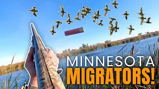INSANE DUCK HUNT: Minnesota Migration Madness!