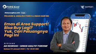 Analisa Forex & Emas Hari Ini 31 Januari 2023 - 10.00 WIB