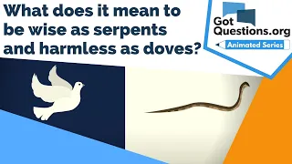 What does it mean to be wise as serpents and harmless as doves (Matthew 10:16)?