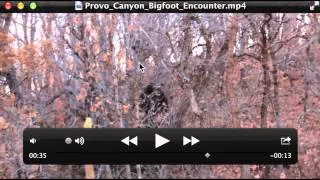 Provo Canyon Bigfoot Encounter Breakdown