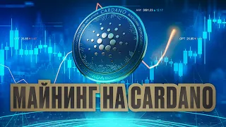 Новый Майнинг На CARDANO (ADA) - Вывел 84 ADA Вывод № 1 (CARDANOMININGFARM)