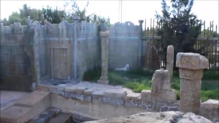 Amazing White Tiger at Rancho Texas Zoo, Lanzarote, Canary Island, Spain