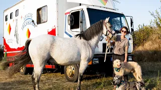 Roomtour #11 - MAN Lkw - das verrückte Zuhause von Kathrin, ihren zwei Hunden und ihrem Pferd 🐎 🚐 🔥