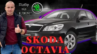 АвтоБазар ЛУЦЬК // НЕ Биті // НЕ Фарбовані Skoda Octavia// ХЛАМ з СКРУЧЕНИМ ПРОБІГОМ #автопідбір