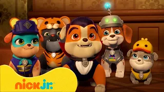 رابل | بناء في الفناء مع رابل وموتور | Nick Jr. Arabia