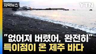 [자막뉴스] 검은 모래만...이 순간에도 사라지는 제주 몽돌 / YTN