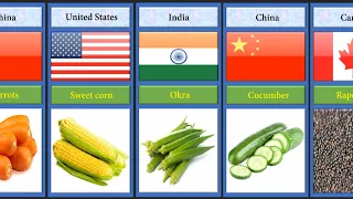 Largest Producer of Vegetables from Different Countries