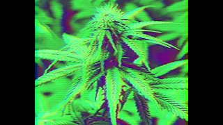 [PERFECT HIGH] 432HZ CHILL SYNTHWAVE MARIJUANA MUSIC WITH SUBLIMINAL CANNABIS AFFIRMATIONS | LOA