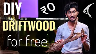 How to make Driftwood For Aquarium (FREE) | DIY Driftwood at home for Free