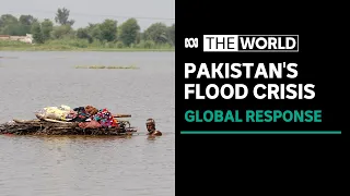 UN appeals for monetary aid amid Pakistan's historic floods | The World