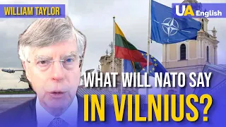 What Will NATO Say to Ukraine In Vilnius? William Taylor Opinion. UATV Interview