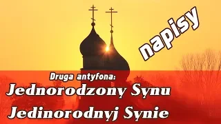 Jednorodzony Synu (cs. Jedinorodnyj Synu), «Единоро́дный Сы́не»