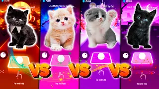 CUTE CATS LADY GAGA BLOODY MARY VS LISA MONEY VS JISOO FLOWER VS SHUT DOWN BLACKPINK