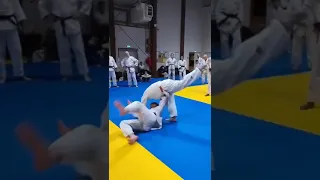 ASMB judo Plateforme Technique 07/02/24 Franck Bourasseau Harai-Goshi
