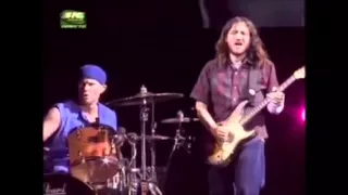 John frusciante 3 of my favorite californication solos