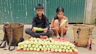 A homeless boy and a poor girl harvest corn to sell to buy trees to build a house